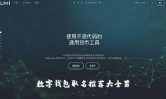 数字钱包取名推荐大全男