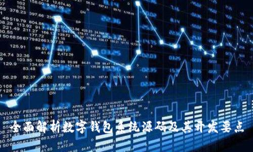 全面解析数字钱包系统源码及其开发要点