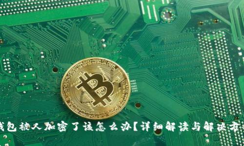 钱包被人加密了该怎么办？详细解读与解决方案