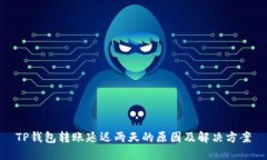 TP钱包转账延迟两天的原因及解决方案