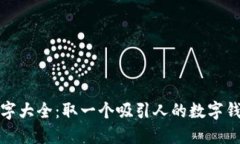数字钱包名字大全：取一个吸引人的数