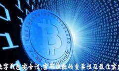 数字钱包安全性：密码位数的重要性及