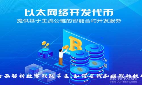 全面解析数字钱包羊毛:如何省钱和赚钱的技巧