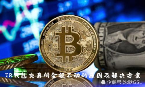 TP钱包交易所金额不动的原因及解决方案