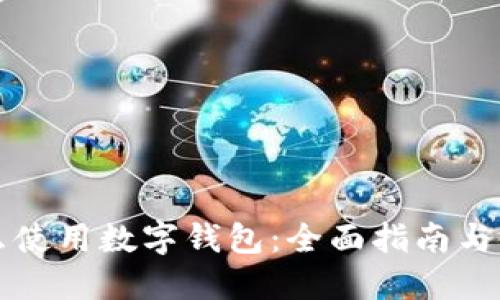 转账怎么使用数字钱包:全面指南与使用技巧