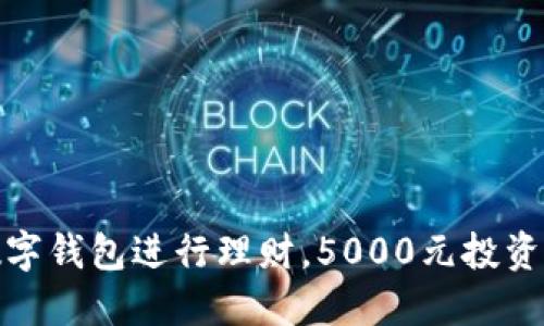 如何利用数字钱包进行理财,5000元投资收益最大化