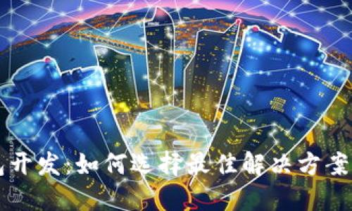 区块链钱包开发:如何选择最佳解决方案与实践指南