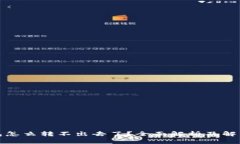 TP钱包怎么转不出去了？全面解析及解