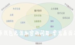 解决狗狗币钱包无法加密的问题：常见