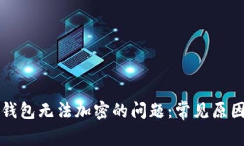 解决狗狗币钱包无法加密的问题:常见原因及解决方案