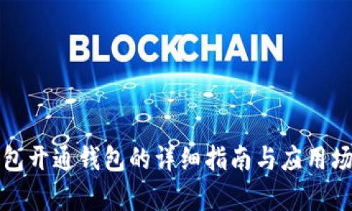 数字红包开通钱包的详细指南与应用场景分析