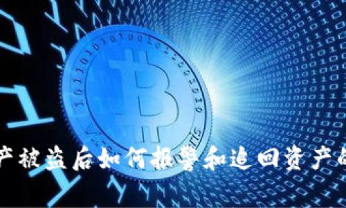 TP钱包资产被盗后如何报警和追回资产的详细指南