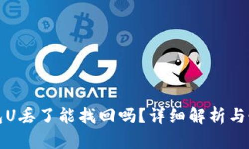 : TP钱包U丢了能找回吗？详细解析与恢复方法