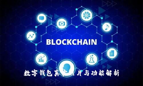 数字钱包真实照片与功能解析