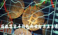 中国数字货币钱包的崛起与未来展望