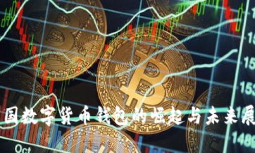 中国数字货币钱包的崛起与未来展望