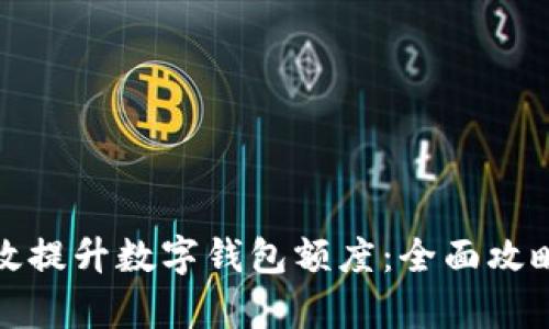 如何有效提升数字钱包额度:全面攻略与技巧
