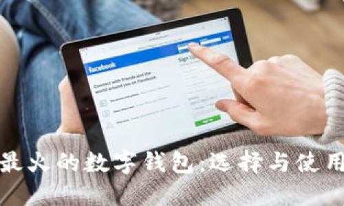 最近最火的数字钱包：选择与使用指南