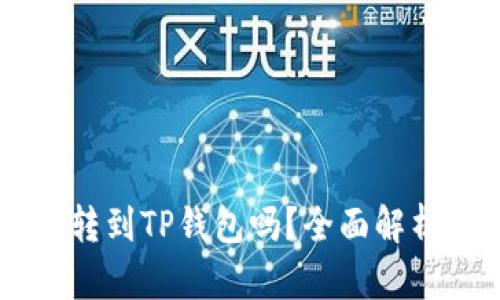 币客的币能转到TP钱包吗?全面解析与操作指南