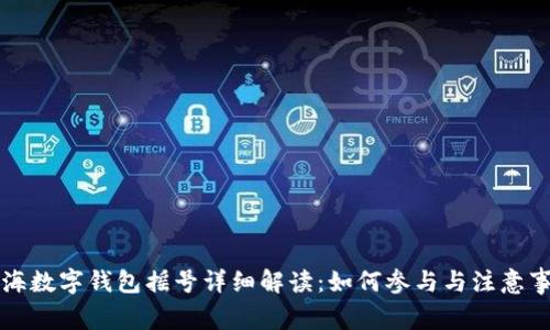 上海数字钱包摇号详细解读:如何参与与注意事项