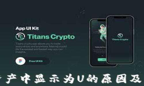 TP钱包资产中显示为U的原因及影响分析