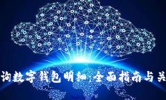 如何查询数字钱包明细：全面指南与关