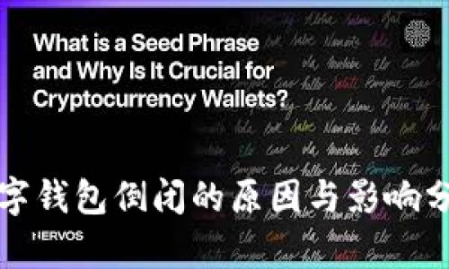 数字钱包倒闭的原因与影响分析