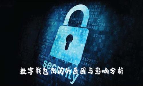 数字钱包倒闭的原因与影响分析