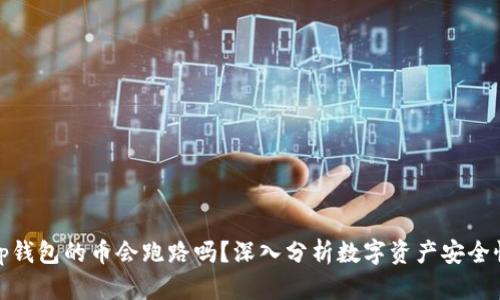 tp钱包的币会跑路吗?深入分析数字资产安全性