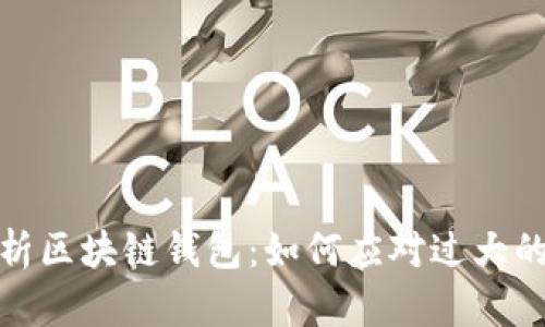 : 全面解析区块链钱包：如何应对过大的存储需求