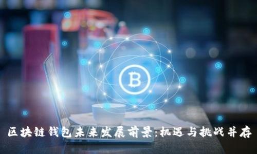区块链钱包未来发展前景：机遇与挑战并存