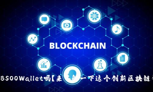 你知道BSOOWallet吗？来了解一下这个创新区块链钱包吧！