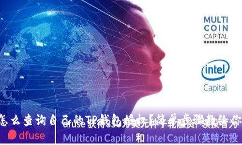 怎么查询自己的TP钱包授权？简单步骤教给你！
