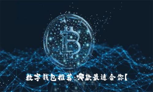 数字钱包推荐：哪款最适合你？