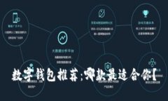 数字钱包推荐：哪款最适合你？