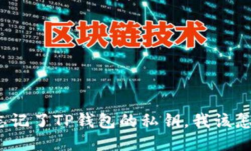 如果忘记了TP钱包的私钥,我该怎么办?