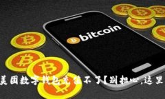 为什么我的美团数字钱包充值不了？别