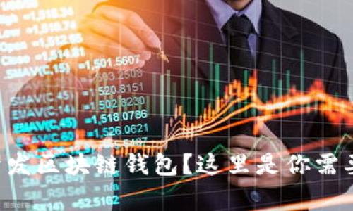 想在石家庄开发区块链钱包?这里是你需要知道的一切!