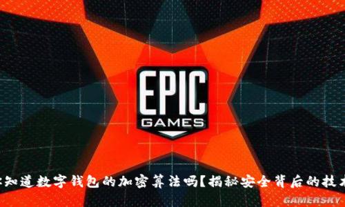 你知道数字钱包的加密算法吗？揭秘安全背后的技术！