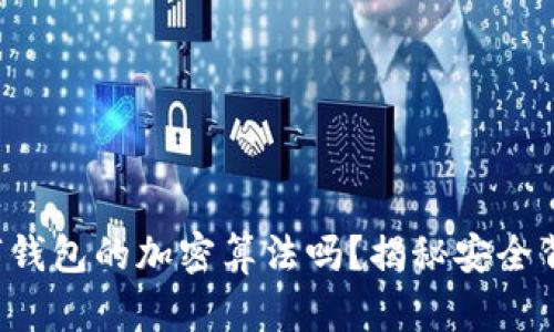 你知道数字钱包的加密算法吗？揭秘安全背后的技术！