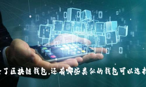 除了区块链钱包，还有哪些类似的钱包可以选择？