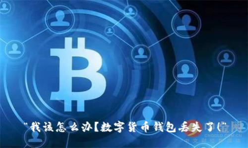 “我该怎么办？数字货币钱包丢失了！”