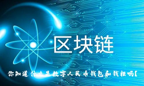你知道什么是数字人民币钱包和钱柜吗？