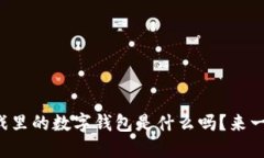 你知道游戏里的数字钱包是什么吗？来
