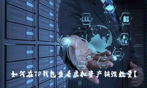 如何在TP钱包查看虚拟资产销毁数量?