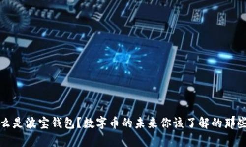 什么是波宝钱包？数字币的未来你该了解的那些事
