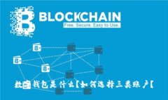 数字钱包是什么？如何选择三类账户？