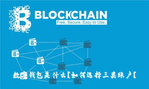数字钱包是什么?如何选择三类账户?