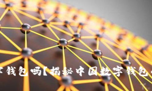 你知道WB数字钱包吗?揭秘中国数字钱包的前景与应用!