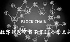 为什么我的TB数字钱包下载不了？5个常